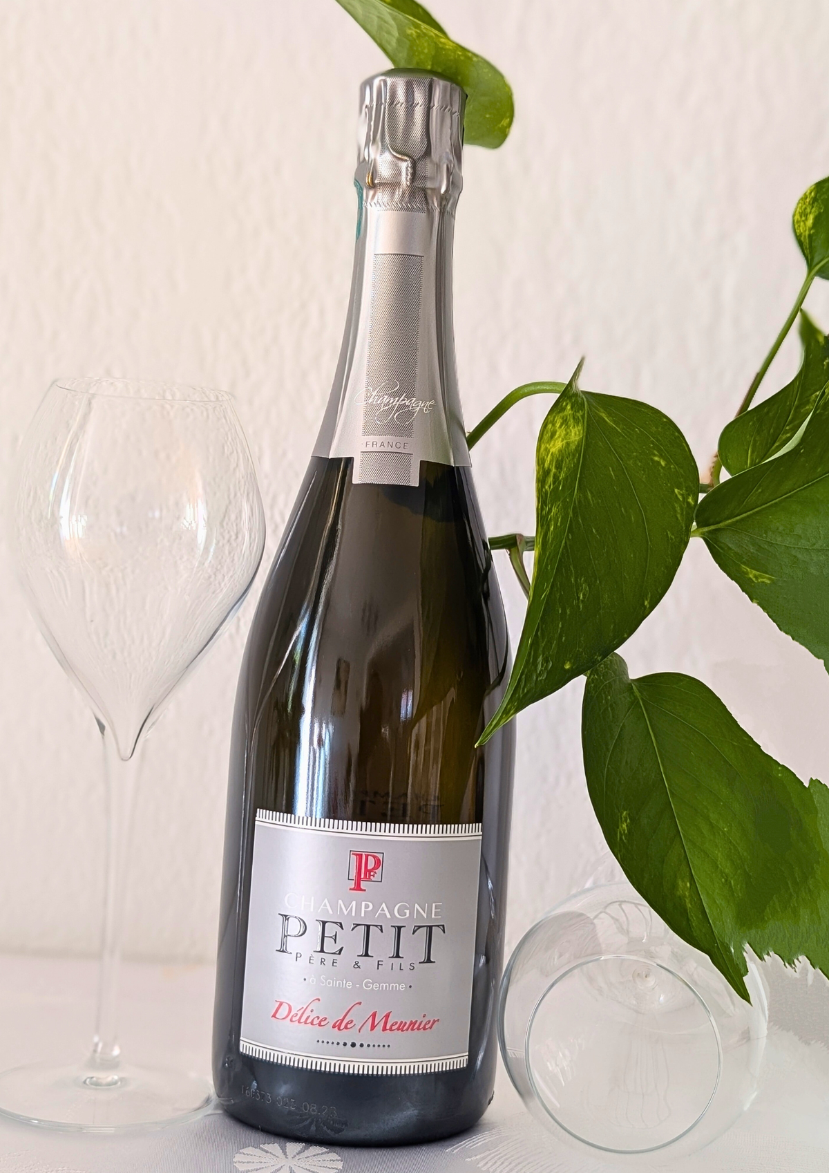Cuvée Délice de Meunier — Brut Sans Année (BSA) Vieille Vigne Millésime 2018 | Flacon de 75 cl